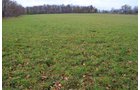 Property photo 49 - 80 Acres & Home - Property Offered in 4 Tracts from 2.3 to 30.0 Acres